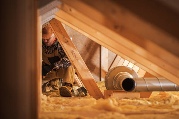 Professional Airduct Cleaning in Sylvania, OH